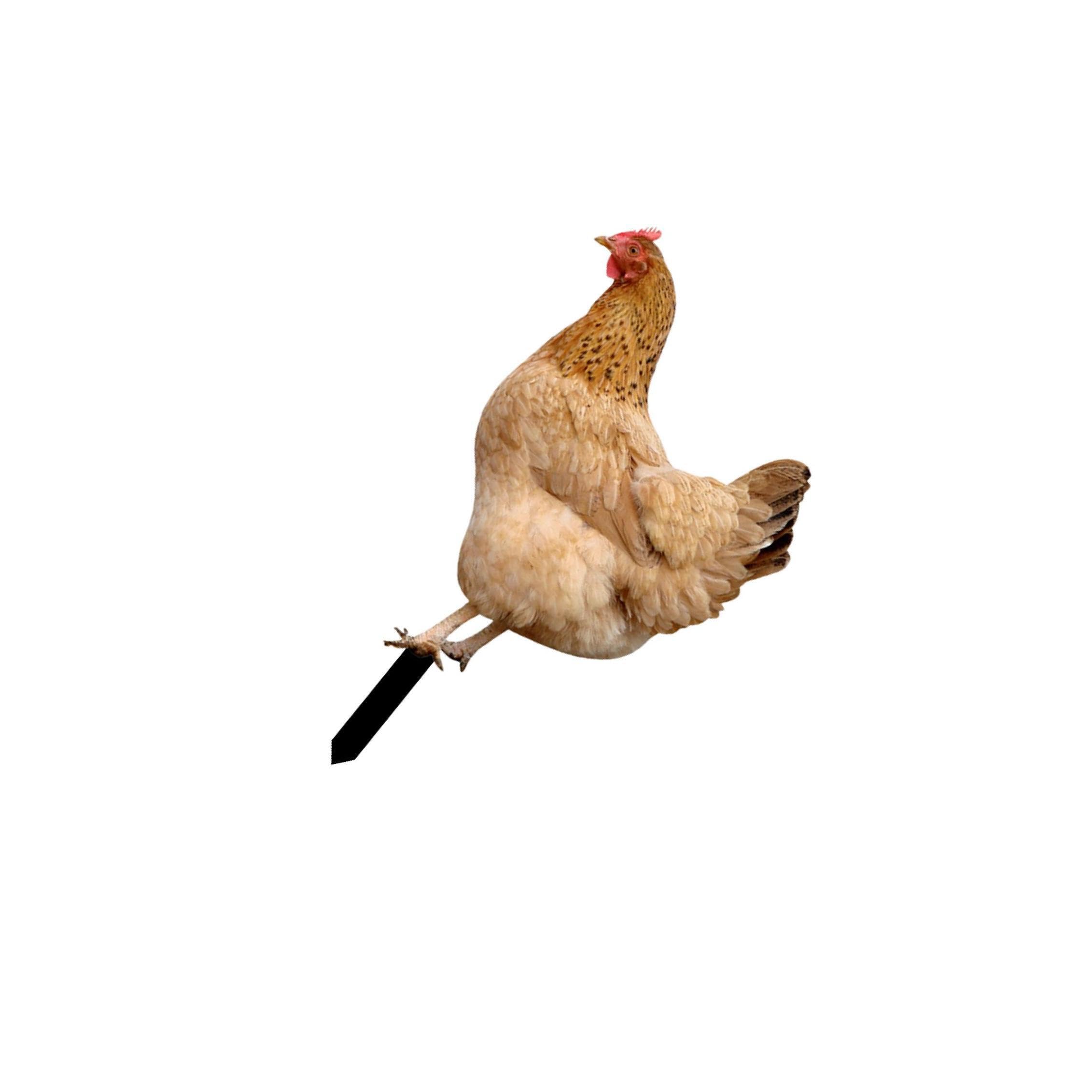 Mophrati Garden Stakes Chicken Garden Statue Vibrant Chicken Sculpture Adds Cheer To Outdoor Space Just Insert On Ground Animal Statue Stakes Sculpture, Style B