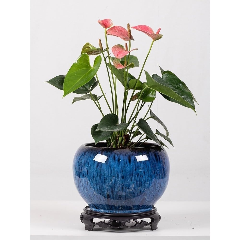 Pot de Fleur Pot de Fleurs Nordique Simple et sphérique en céramique avec Base Pots de Plantes en céramique