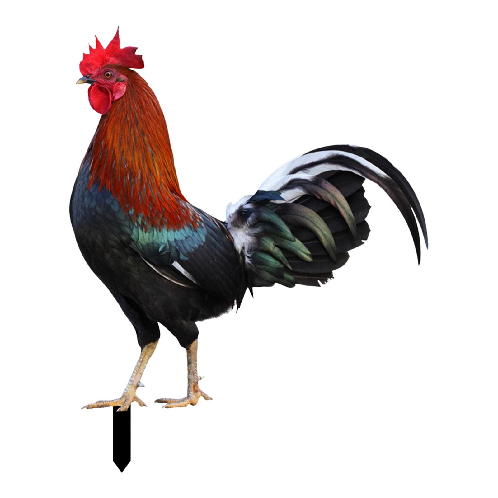 Enakshi Rooster Animal Statue Stakes Figures Hen Stake for Courtyard Lawn Yard Decor|Home & Garden | Yard, Garden & Outdoor Living | Garden D?©cor | Statues & Lawn Ornaments