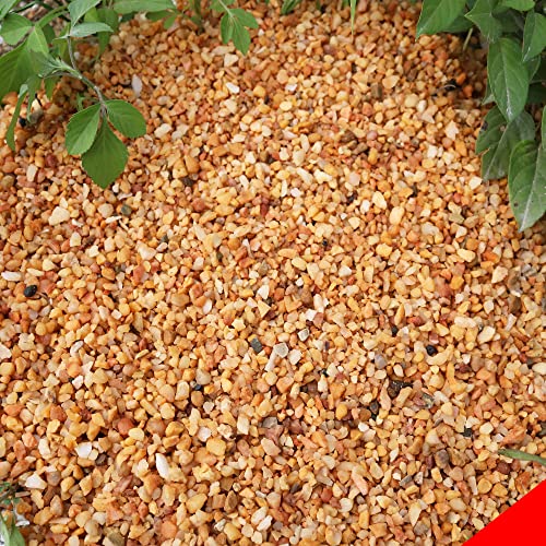 Image of 18lb Cactus Pea Gravel Rocks,1 /5 Inch Pebbles for Indoor Plants, Natural Succulent Rock and River Rocks Decorative for Aquariums, Vases, Terrarium, Outdoor Gardening, Top Dressing for Potted Plants