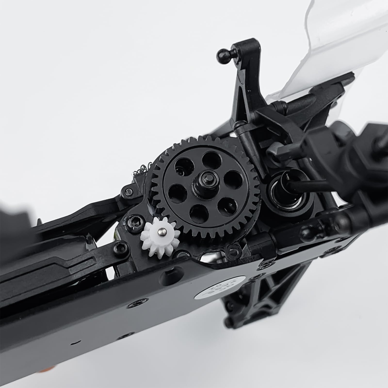 P. Willinckii Spur(TC) 【M-2】 Amazon.com: 40 Tooth Spur Gear