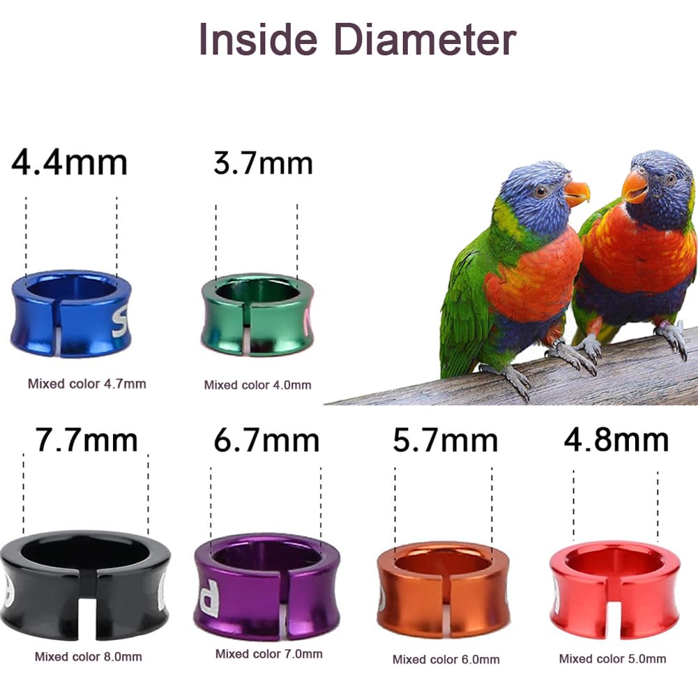 CARYZ Anillo de Paloma, cinturón para Pierna de pájaro, Anillo para pie, Anillo para Pierna, número Mixto Multicolor, cinturón con Clip para Pollito y Loro al Azar 200 Piezas Mixed colors7.0mm