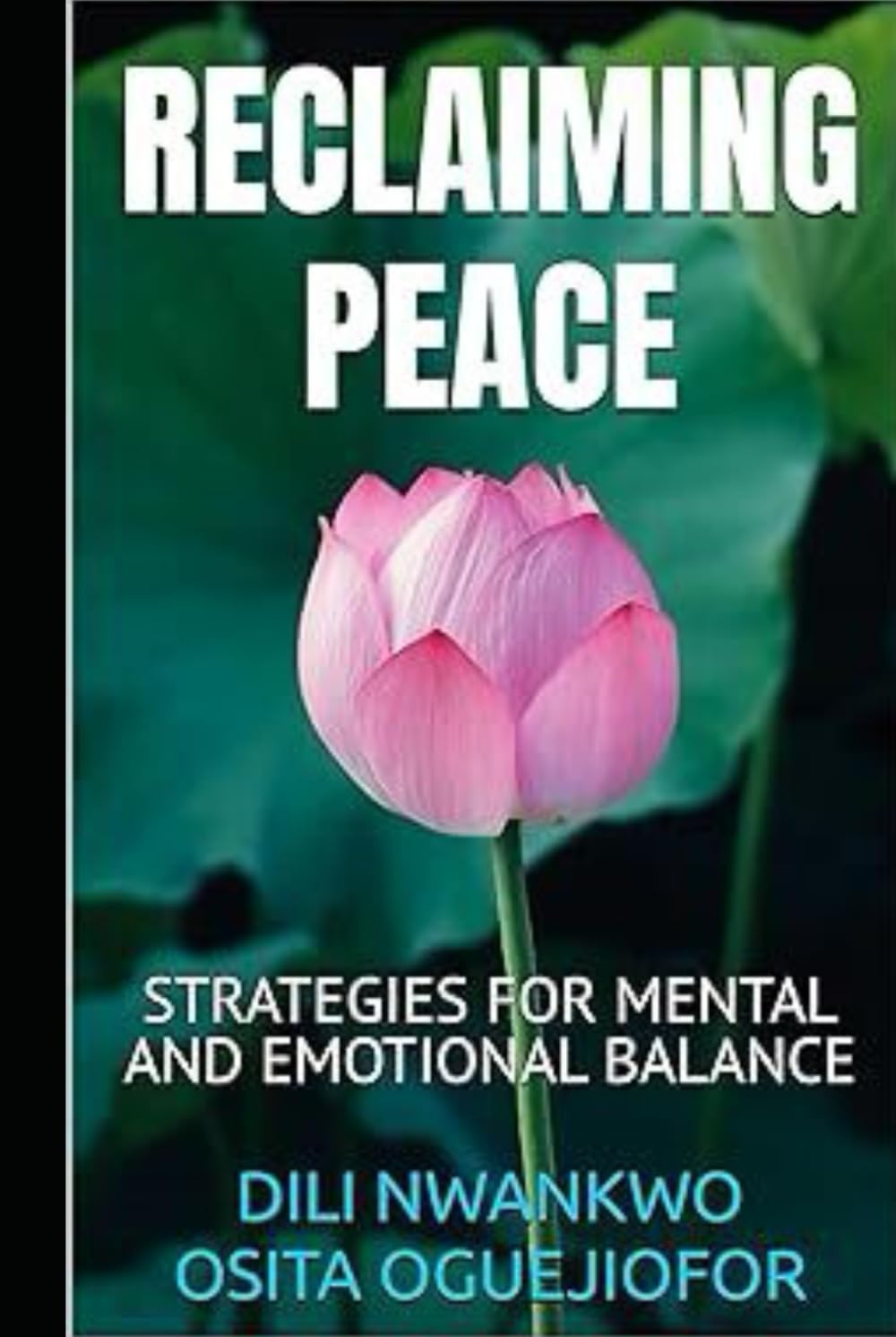 RECLAIMING PEACE: STRATEGIES FOR MENTAL AND EMOTIONAL BALANCE