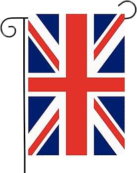 61rW9Lwnw3L._AC_UF350,