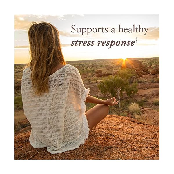 Garden-of-Life-Mykind-Organics-Vitamin-Once-Daily-Vegan-B-Complex-Vitamins-with-Folate-B12-Niacin-B6-Biotin-Organic-Whole-Food-B-Complex-Supplement-for-Metabolism-EnergyBlend-1-30-Count Garden of Life Organics Vitamin B Complex Once Daily, 30 Tablets, Vegan B Complex Vitamins with Folate, B12, Niacin, B6, Biotin, Organic Whole Food B Complex Supplement for Metabolism & Energy