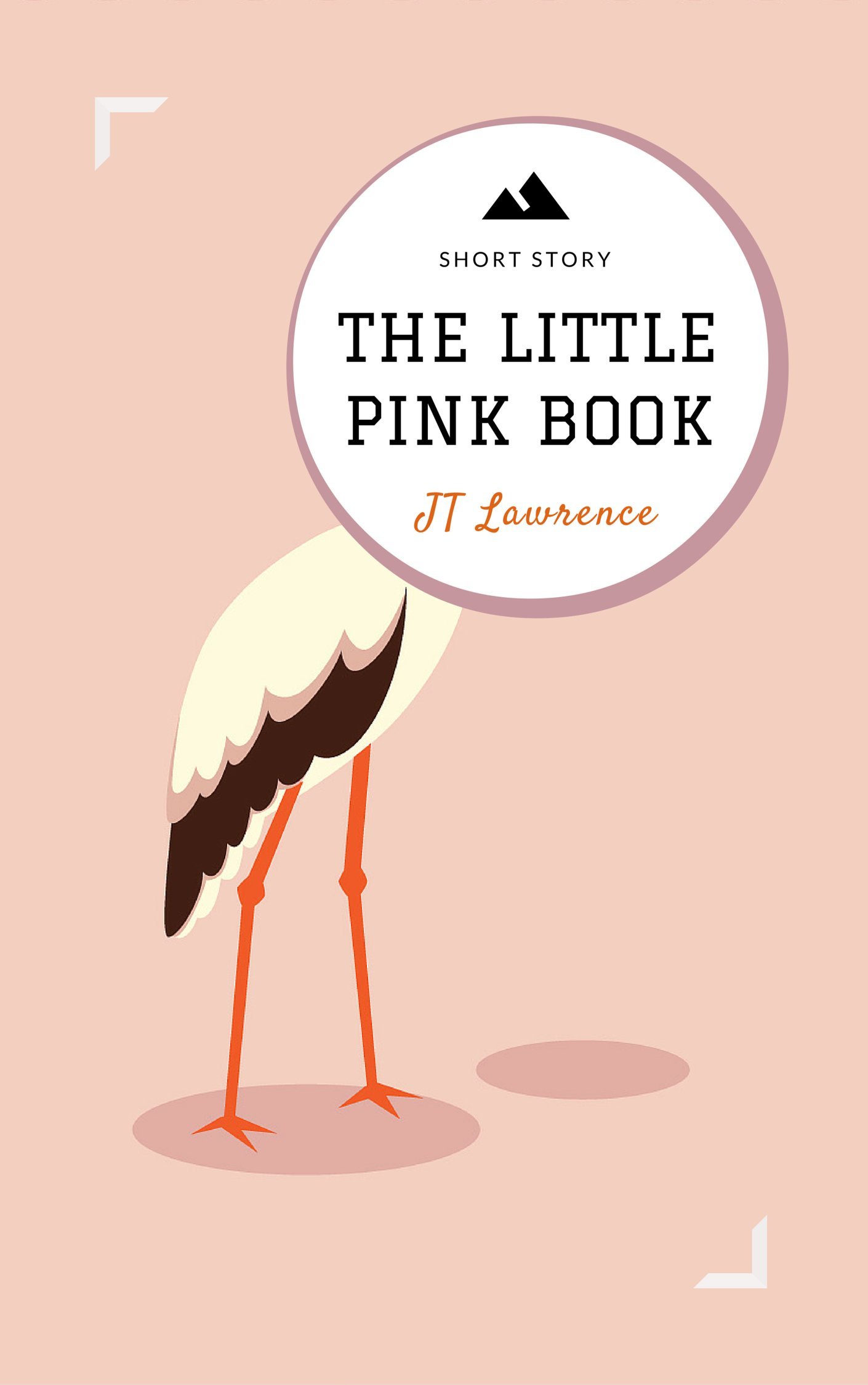Cover of The Little Pink Book