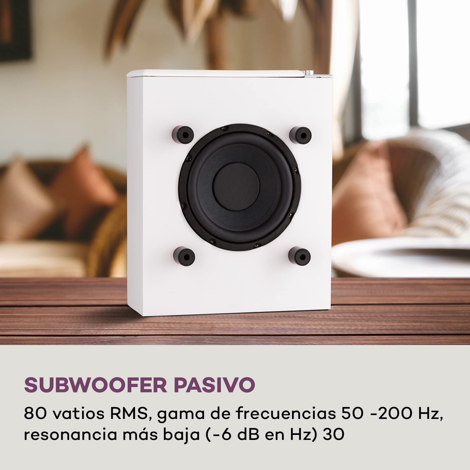 AUNA 2 Subwoofers Hi-Fi, Altavoz Subwoofer Pasivo 80 W RMS Potencia de 100 W, Diseño Compacto Home Cinema, Altavoces Sonido Estéreo AUX Input para MP3 y Reproductor de CD, Volumen, Auto-Off