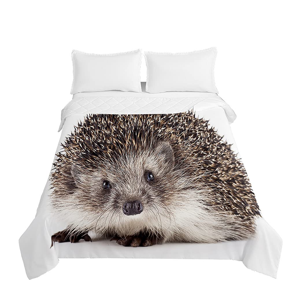 Surwin Couvre-lit matelassé en relief pour lit simple, double, super king size, panda, jeté de canapé, jeté de lit léger en microfibre (toucan, 230 x Surwin Couvre-lit matelassé en relief pour lit simple, double, super king size, panda, jeté de canapé, jeté de lit léger en microfibre (toucan, 230 x