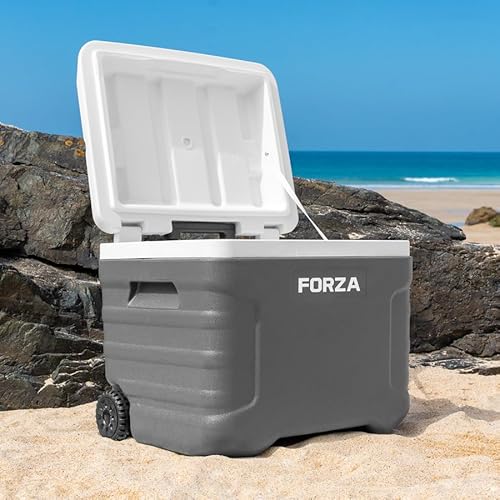 FORZA IceGuard LX^[tN[[{bNX | nh&zC[t|[^uACX`FXg - g72ԗ₽ۂ܂ - r[`Ao[xL[A`[X|[cɍœK [20L 41L 47L 98L] (e41L)