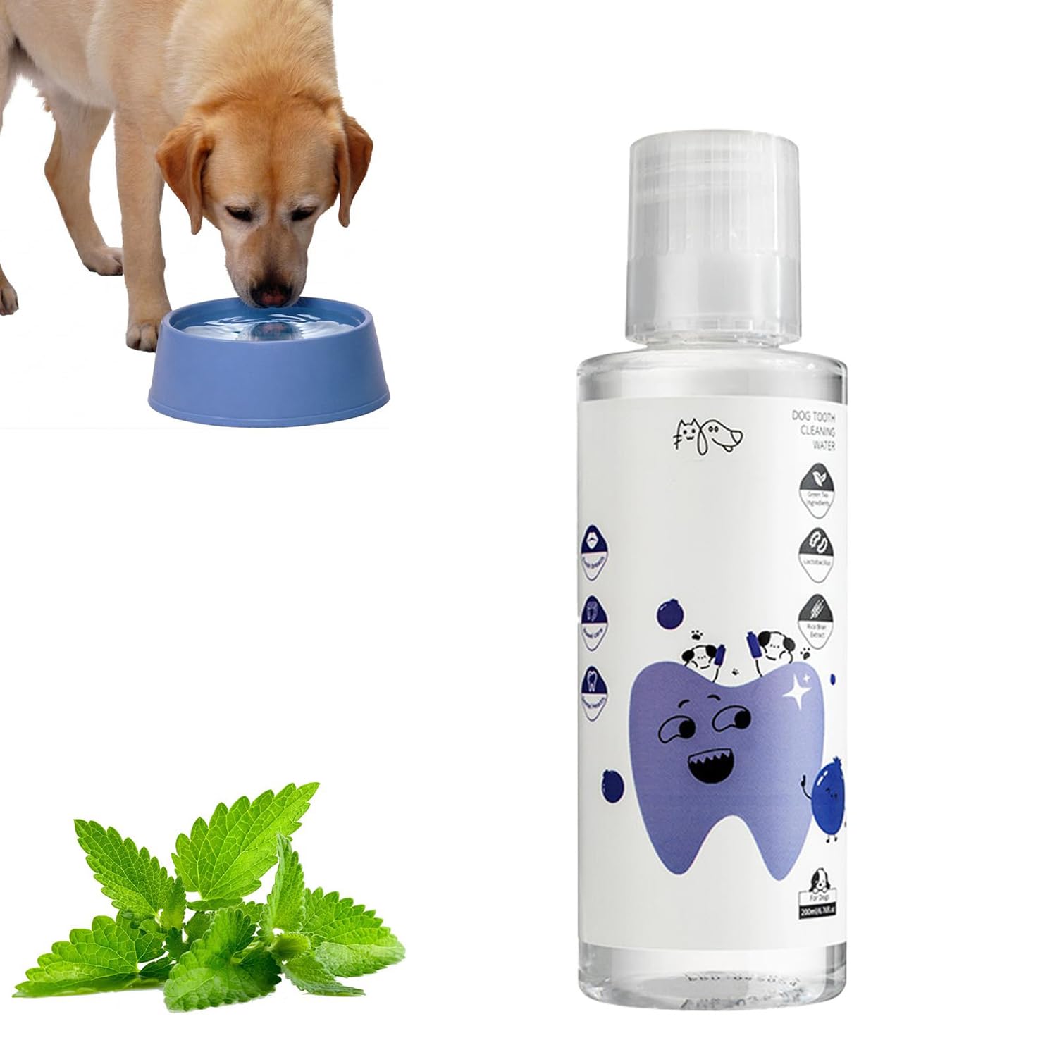 PawBright Dental Plus, formule naturelle, inodore et sans saveur pour lutter contre le tartre, promouvoir des gencives saines et rafraîchir l'haleine, bain de bouche naturel sans saveur, utilisation