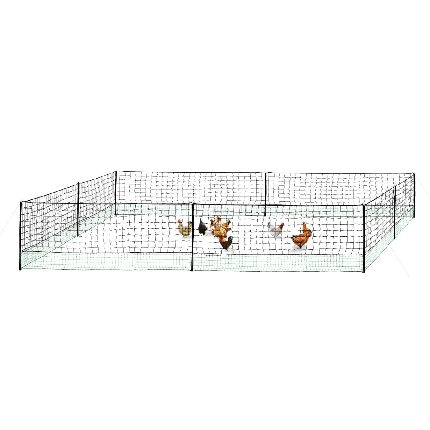 IDMarket - Kit clôture Filet à Poules 24 M avec Porte 9 piquets Double Pointe