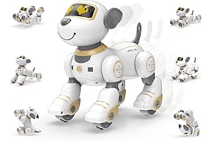 PetBot: Your Child's Interactive Robotic Companion