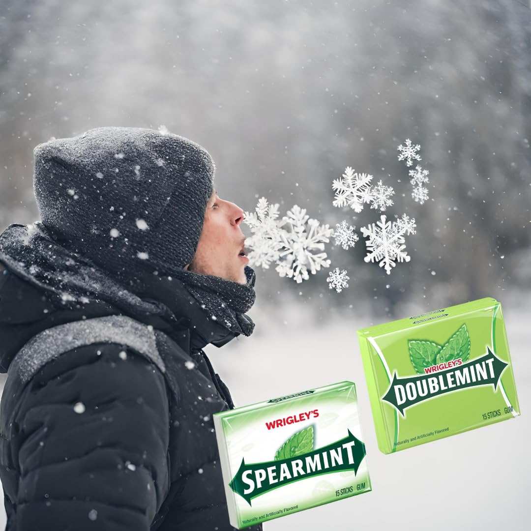 Amazon.com : Wrigleys Doublemint Gum and Wrigleys Spearmint Gum