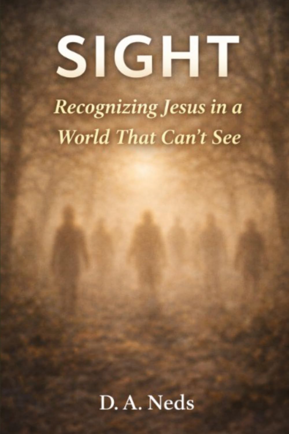 Sight: Recognizing Jesus in a World That Can't See
