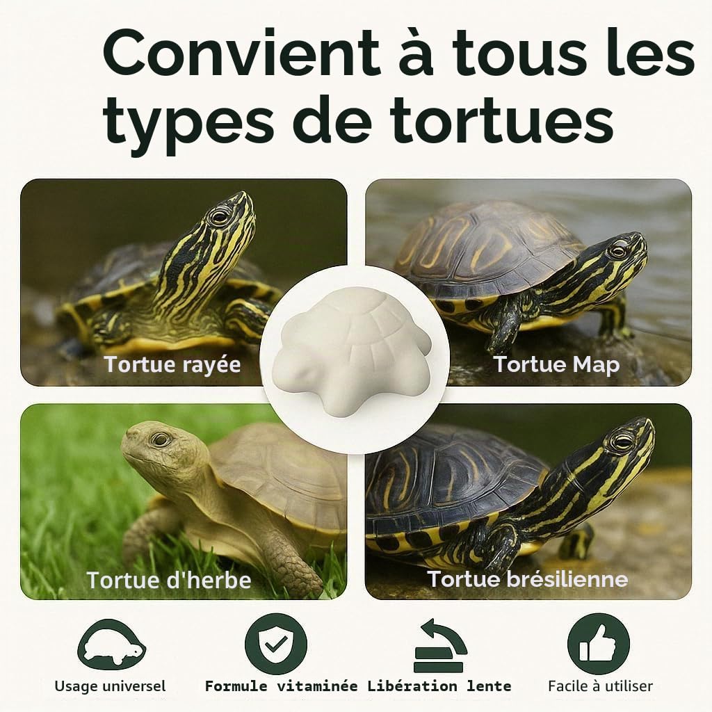 MOLY Lot de 15 comprimés de carbure de calcium dissoluble pour tortues d'eau | Renforce la carapace et neutralise le pH
