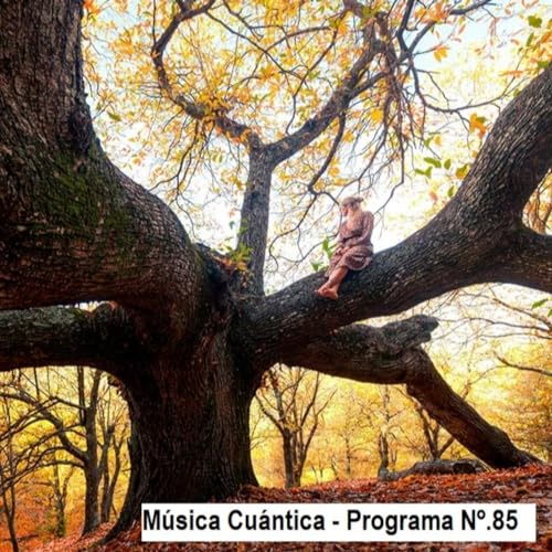 Page de couverture de MÚSICA CUÁNTICA - PROGRAMA Nº85
