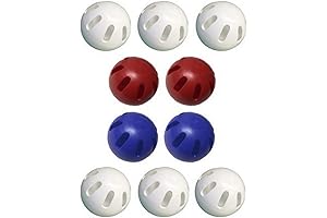 Official Wiffle Ball for Champions