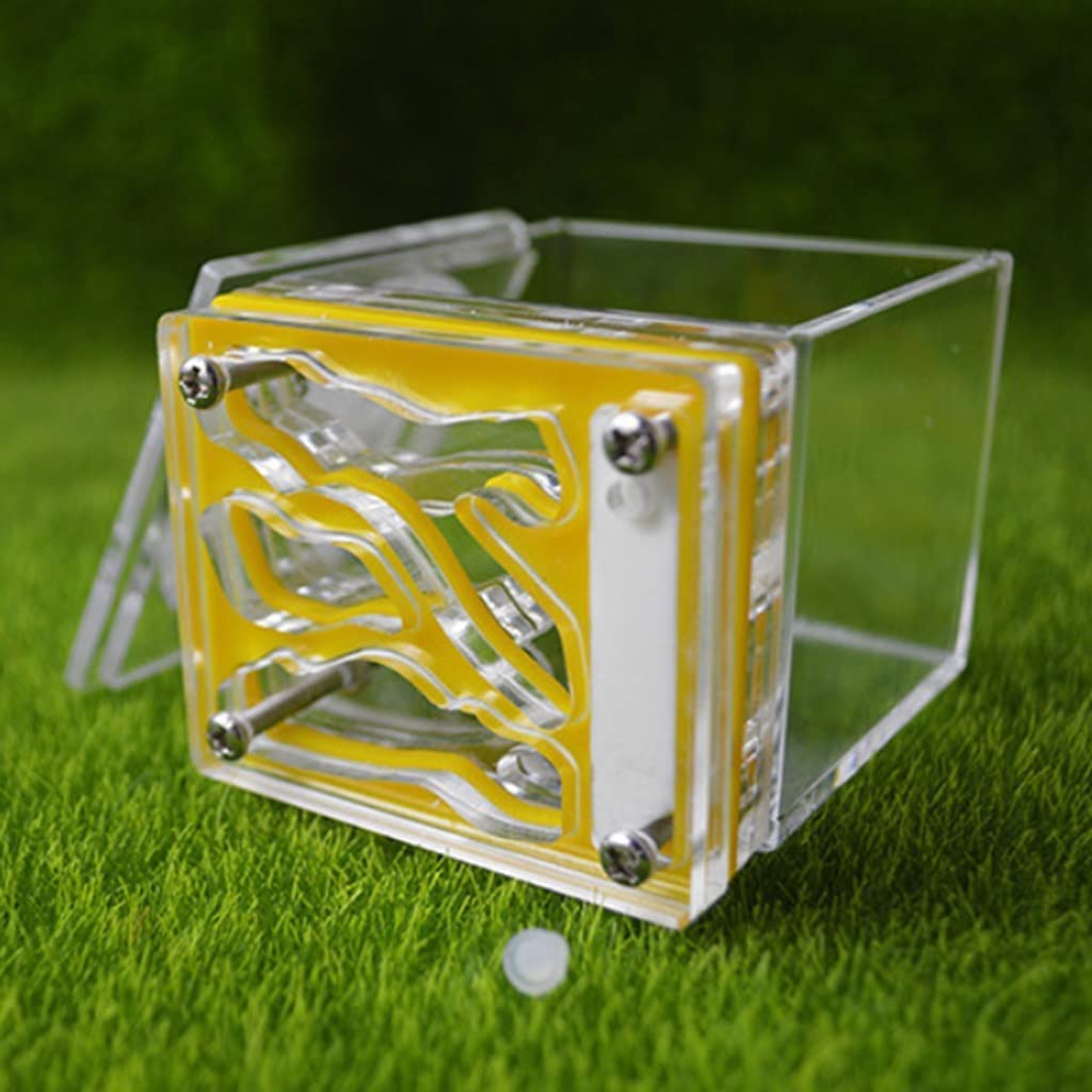HRTC Formicaio Quadrato Mini formicaio in Acrilico Formica Trasparente Fatto a Mano Habitat educativo Unico Regalo per Bambini Ecosistema della Colonia di formiche