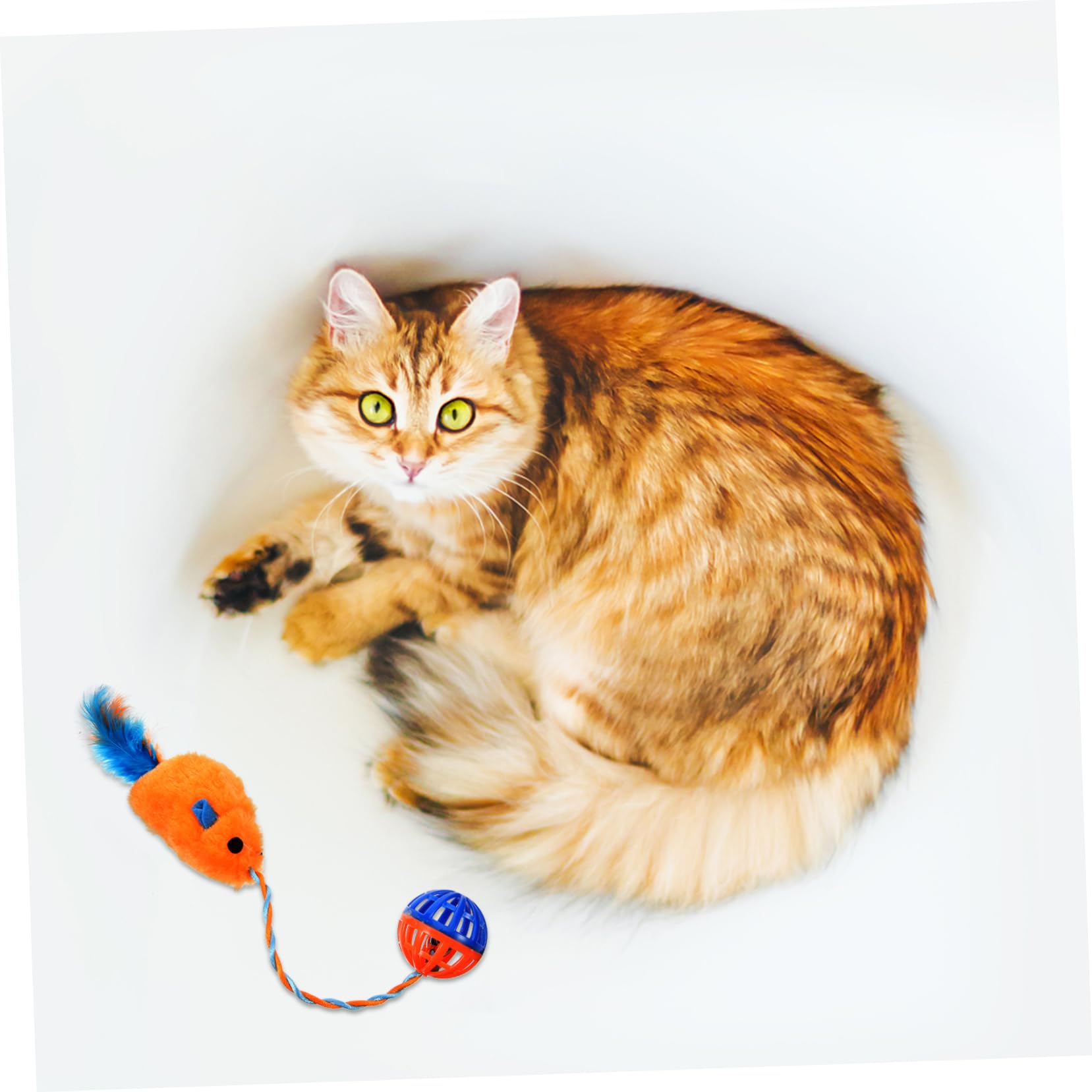 KOMBIUDA Jouet Jouet Interactif pour Chaton avec Clochette en Peluche et Plastique pour Soulager Le Stress et L'ennui des Chats Intérieur