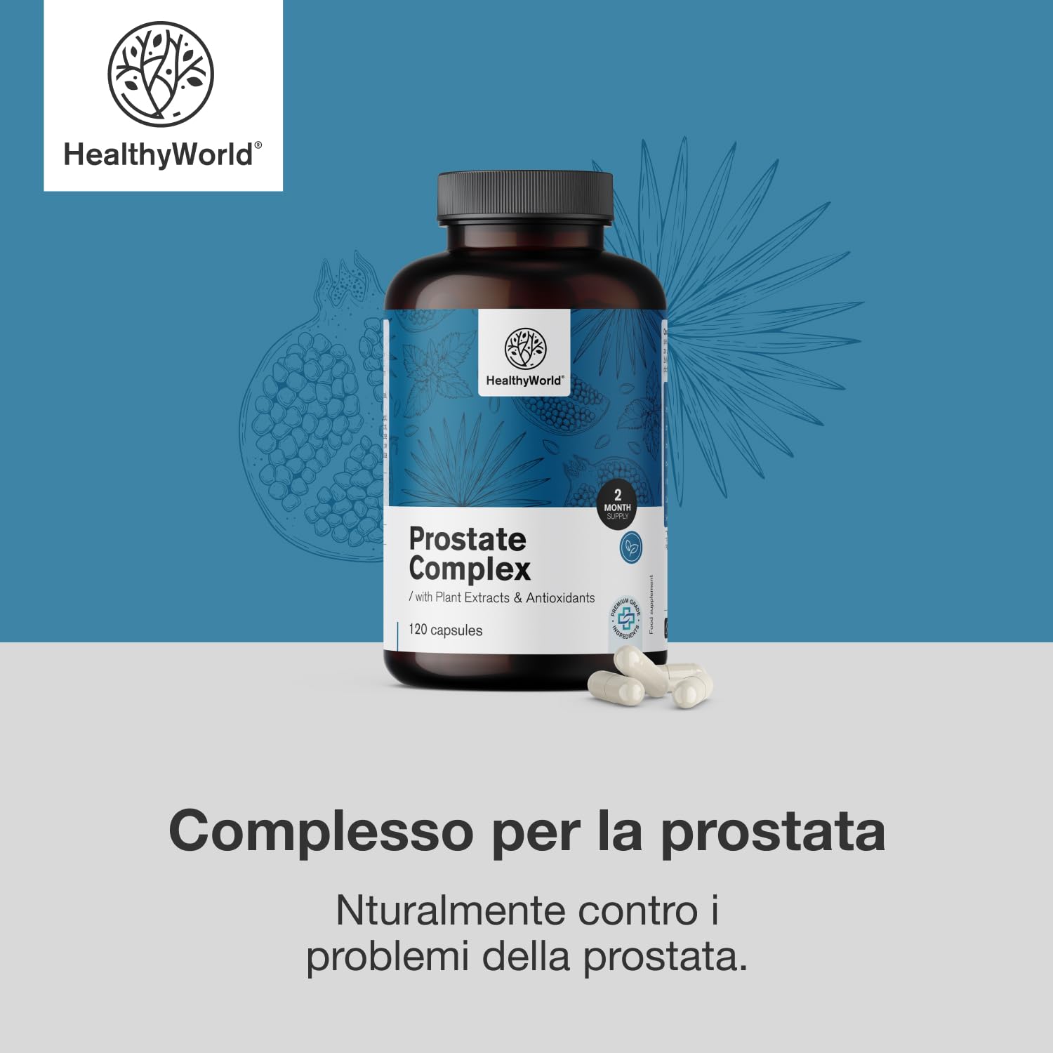 HealthyWorld® Complesso Per la Prostata - Per uomini - 120 Capsule Vegetali - Con Semi di Zucca, Melograno, Ortica, Saw Palmetto, Vitamina E, Zinco e Selenio - Supporto alla prostata