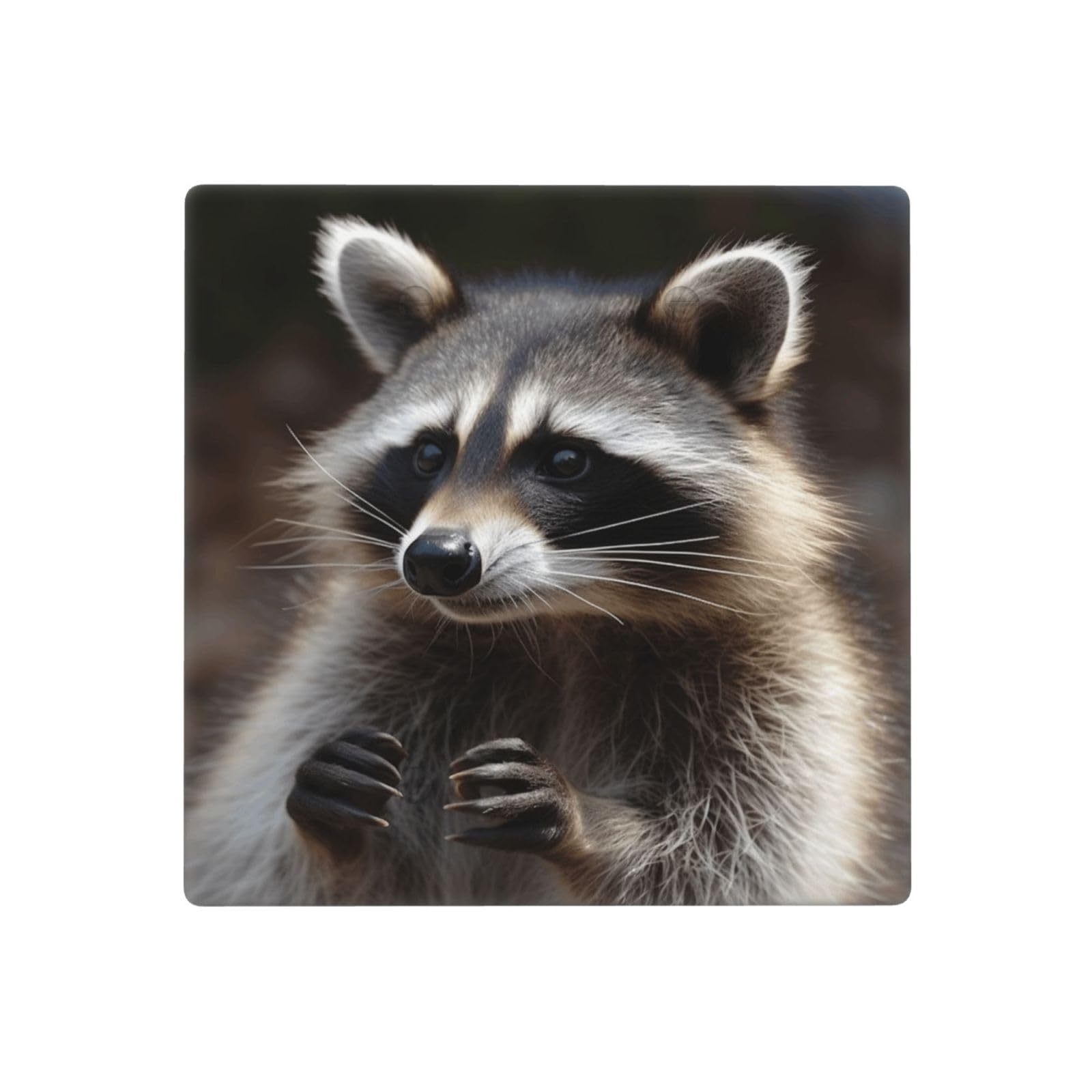 Kloph Style Q Decorator Wall Plate 2 Gang Light Switch Covers Raccoon Wallplate Double Toggle Switch Plate Mid-Size Electrical Outlet Covers Decorative Wall Switch Plate Cover