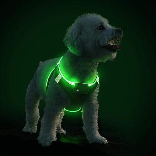 PcEoTllar Arnés con luces LED para cachorros, perros pequeños y medianos, arnés reflectante recargable sin tirones, arnés para perro con luz
