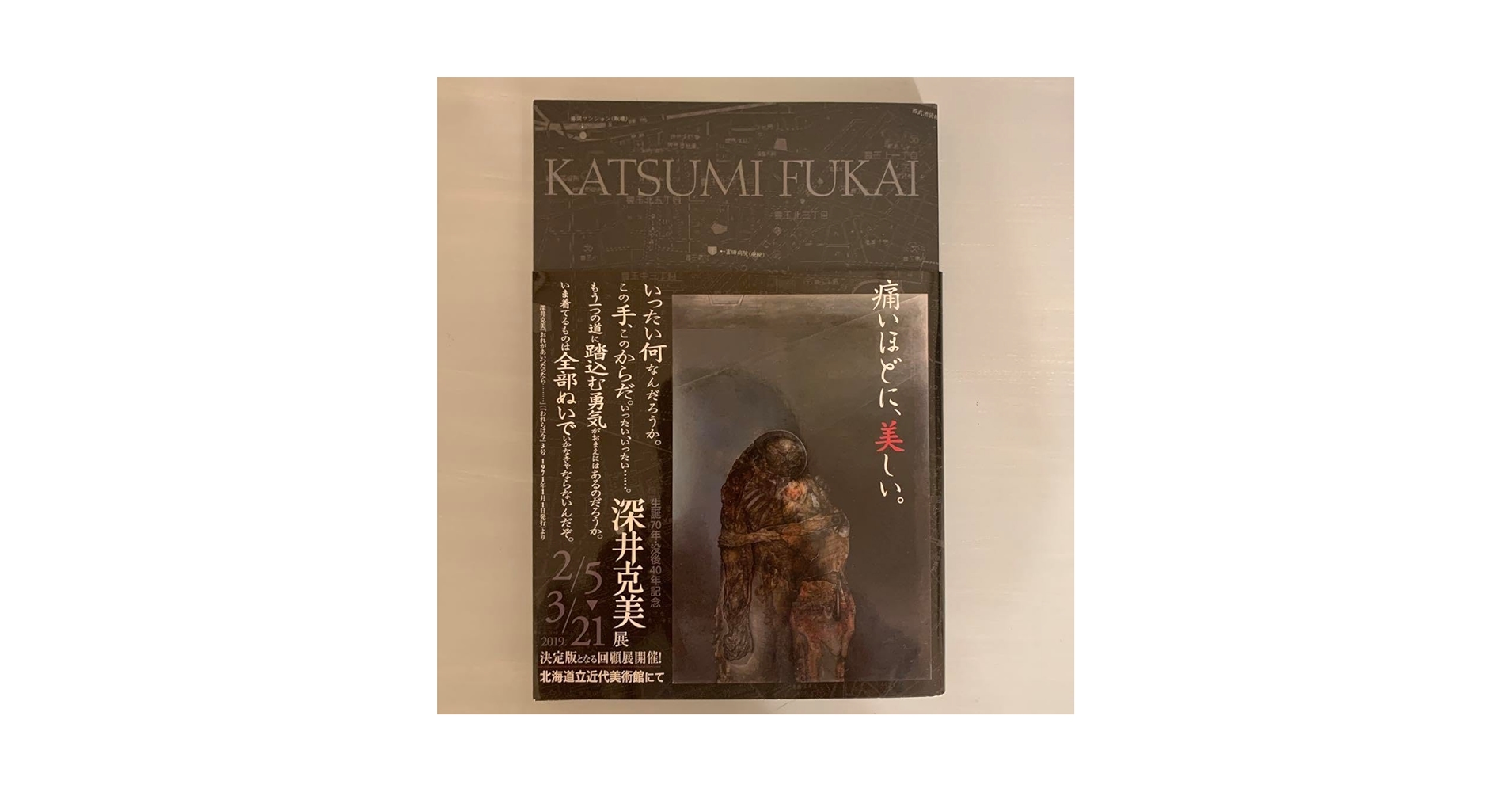 オリオン 深井克美・全画業 深井克美 全画業 オリオン - Thursday Books
