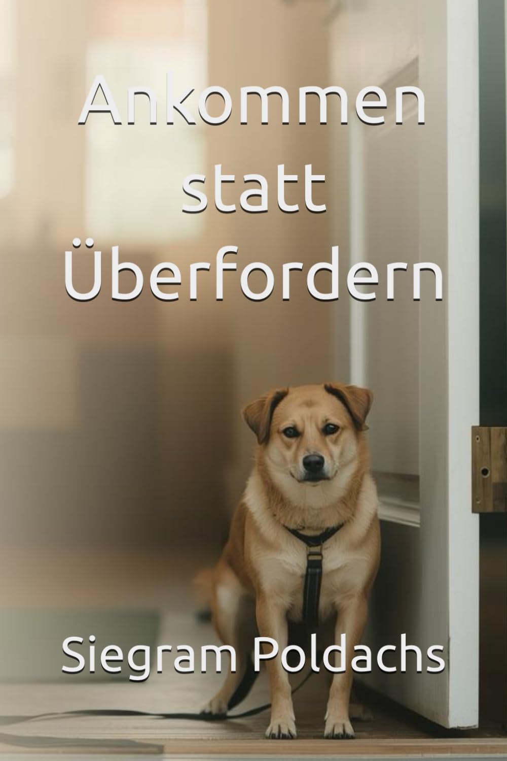 Ankommen statt Überfordern: Ihr 30-Tage-Plan für den Tierschutzhund: Vertrauen aufbauen, Ängste reduzieren, Routinen etablieren (Hundealltag ohne Überforderung)