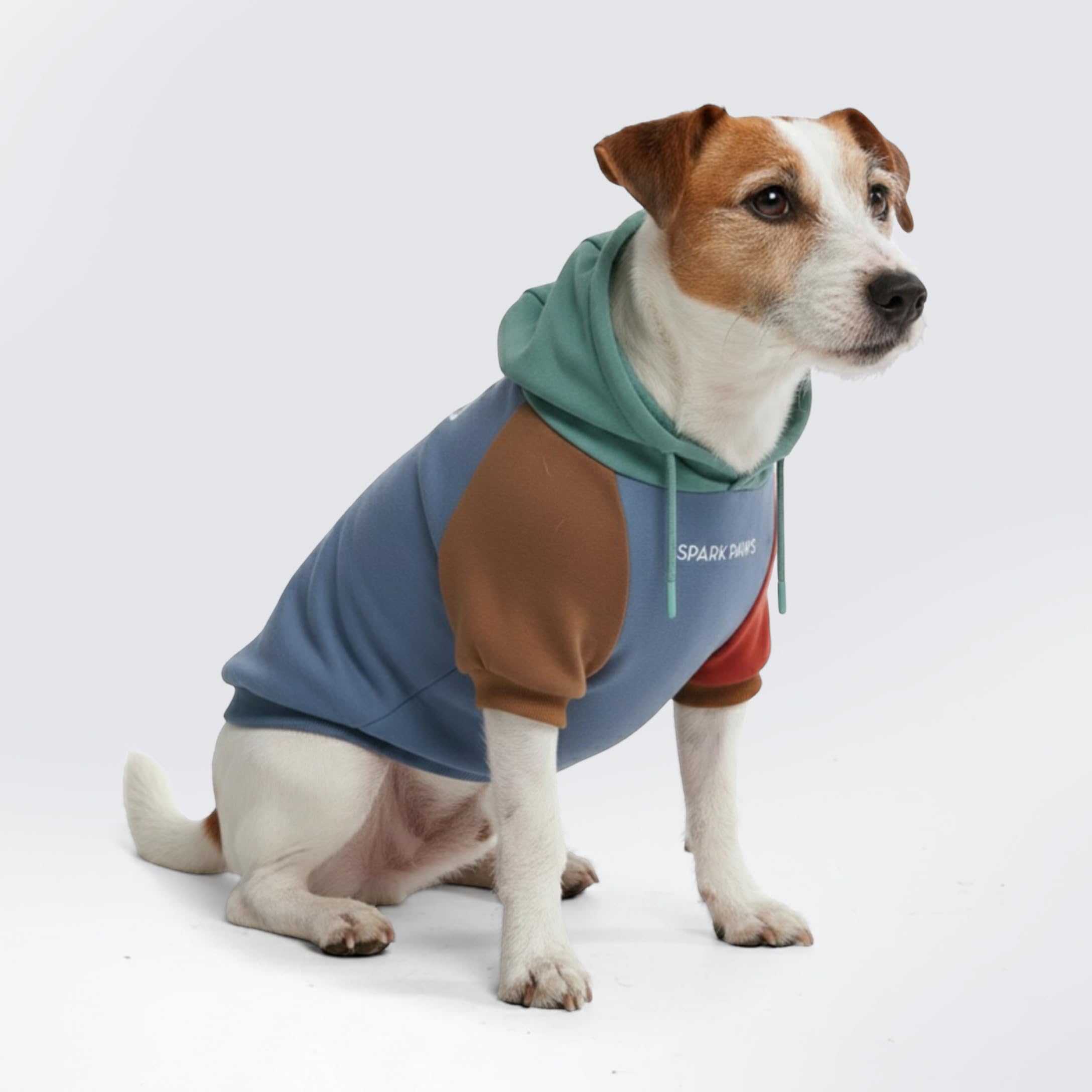 Spark Paws Alpine Hoodie