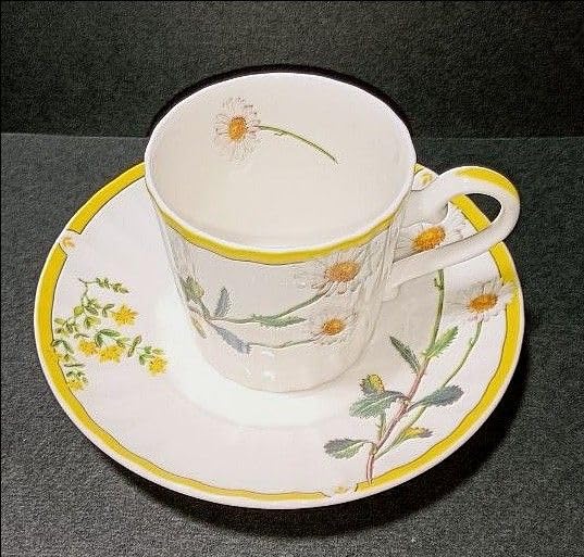 Amazon | 497 HOYA New Ivory カップ＆ソーサー コーヒー ティーカップ