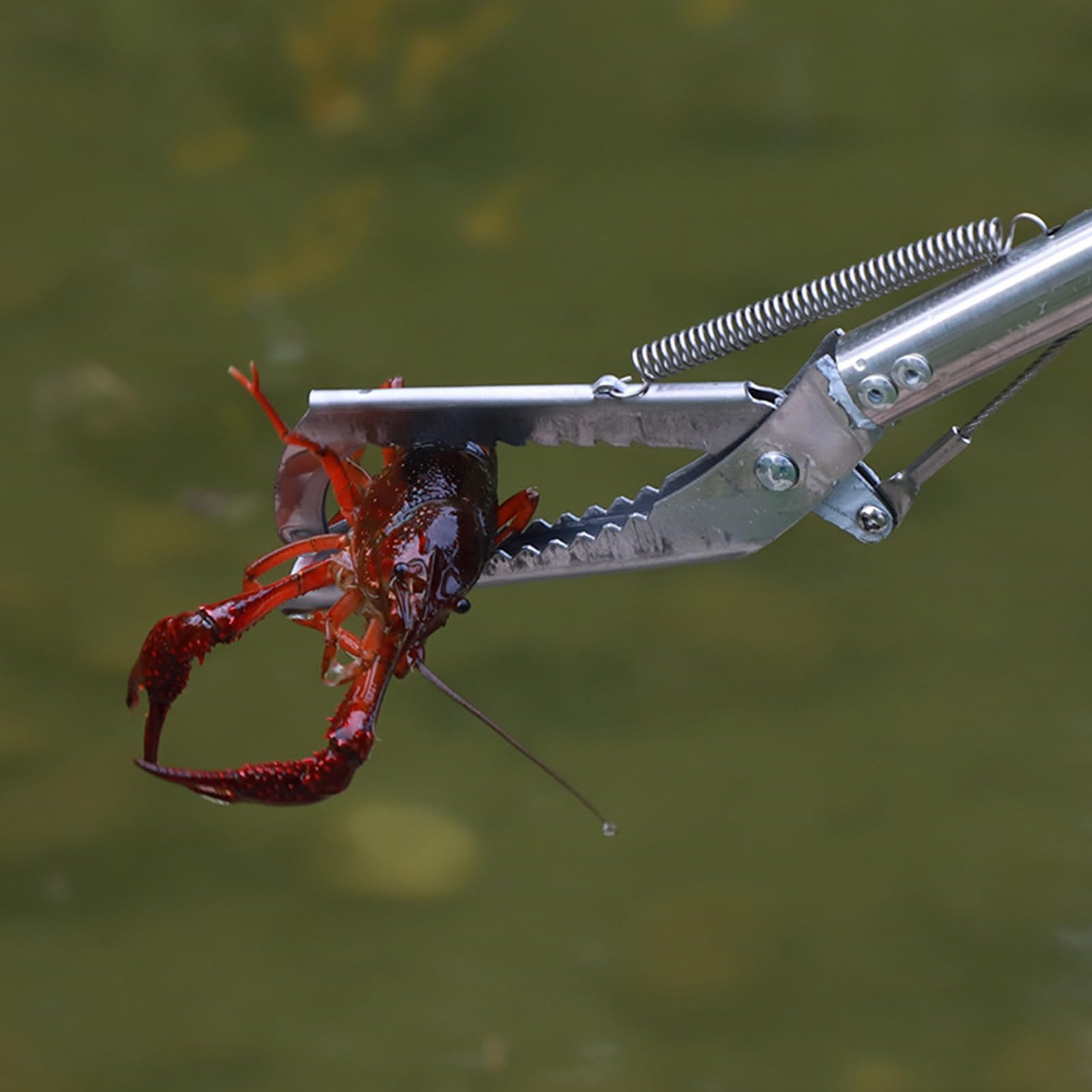 Pinza per serpenti in acciaio inox, doppia faccia seghettata, pieghevole, a ganascia larga, con manico antiscivolo, per serpenti, topi, serpenti a sonagli, argento 1