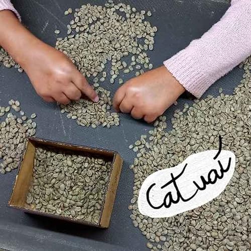 『Catua&iacute;』のカバーアート