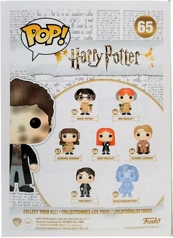 Funko Pop Movies: Harry Potter - Accident Seamus Finnigan Collectible Figure, Multicolor