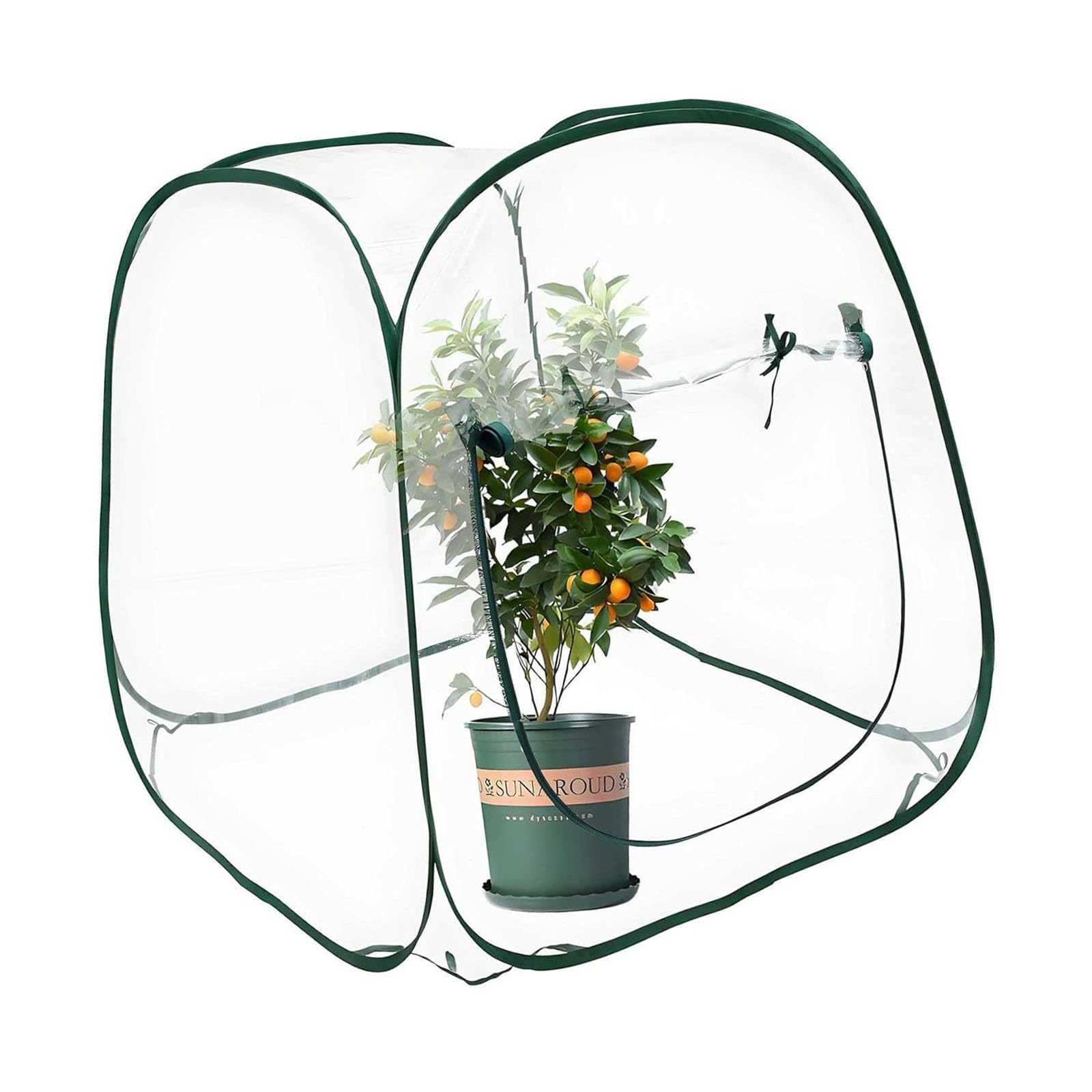 Cubierta de invernadero para plantas, diseño aislado para jardín, materiales protectores de PVC transparente, construcción de marco de acero, cubierta protectora para plantas para varias estaciones