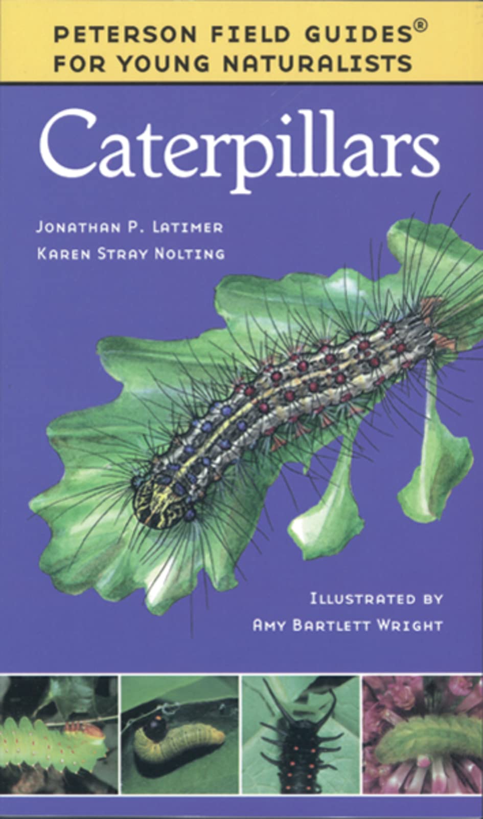 Caterpillars: A Beginner's Bug Guide with Life-Like Illustrations Based on the Peterson System