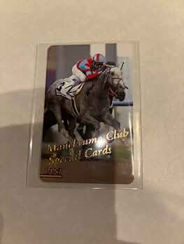 ブ*ン様 【まねき馬】ドウデュース 年度代表馬SPカード(開封) ブ*ン様 【まねき馬】ドウデュース 年度代表馬SPカード(開封