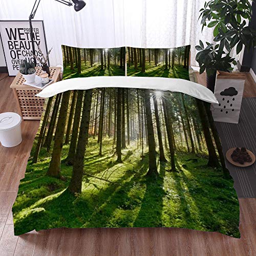 3 Teilig Bettgarnitur Bettwäsche,Abies Forest Morning Spruce Trees von Beam Mist Reserve Sunbeams Trunk Nature,Gemütlich 3D Mikrofaser