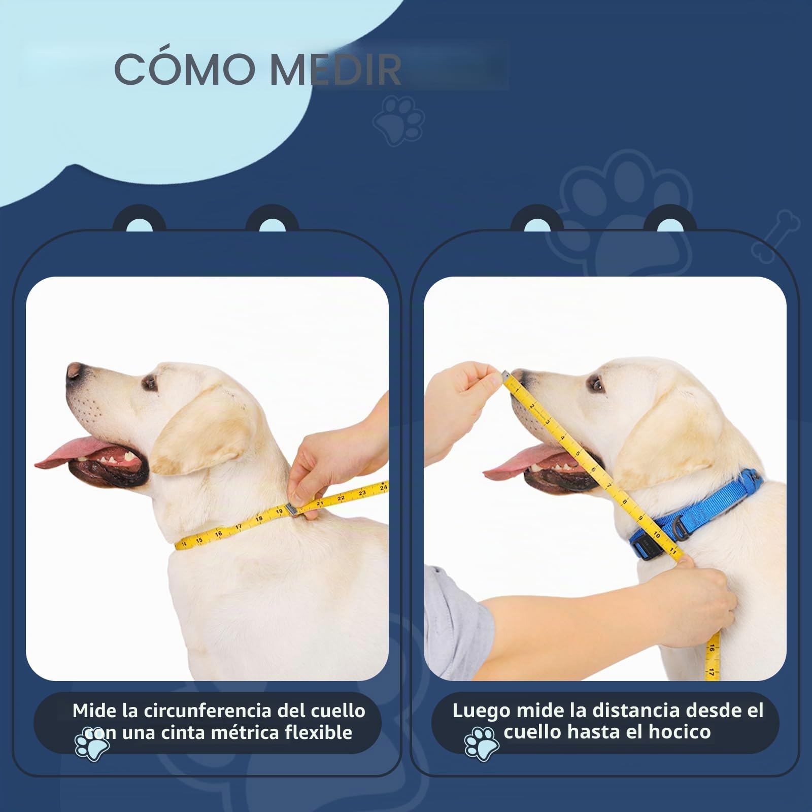 Collar Isabelino Perro Grande y Pequeño, Alternativa al Collar Isabelino Inflable, Campana Perro con Núcleo de Espuma, Ajustable Collarin Perros para No Lamerse, Cono Perros (Gris, Size 8)