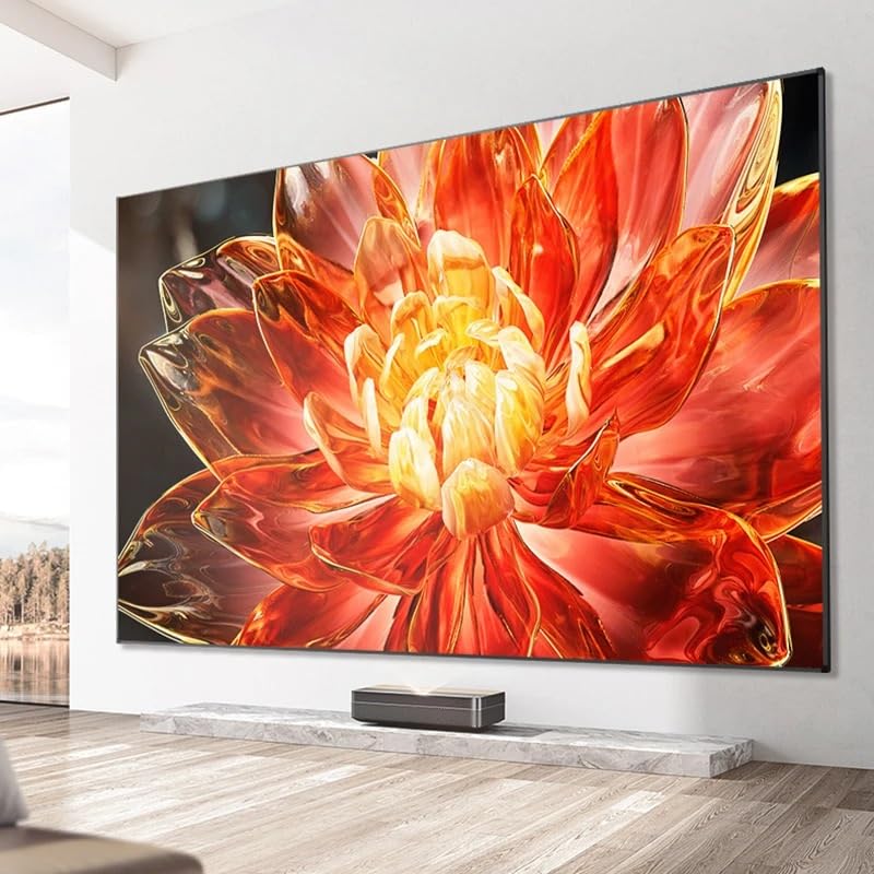 Pantalla de proyección fija GenSDH 100 pulgadas miniatura 4