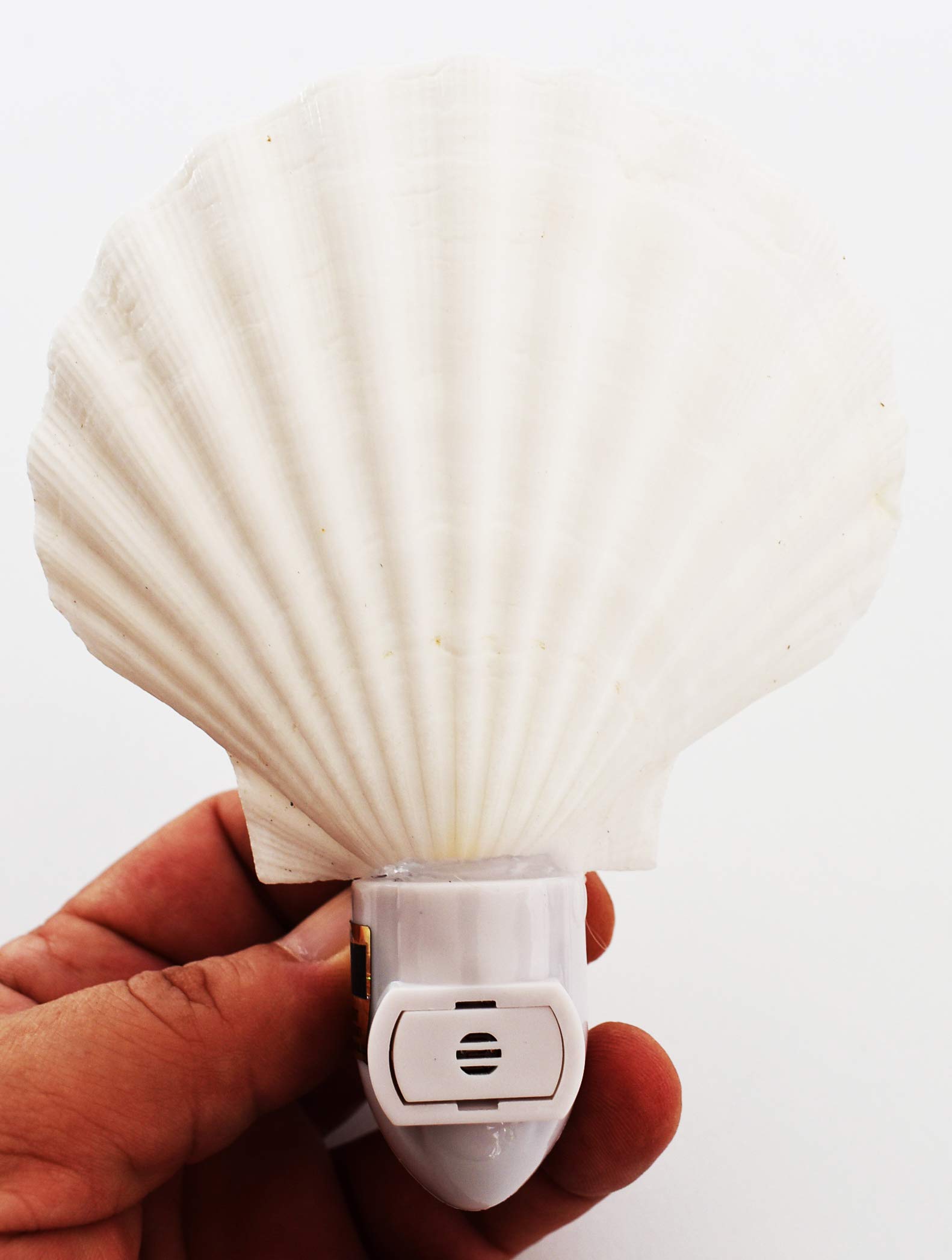 shell  light ♡ seaside ♡ white シェルライト Amazon.co.jp: Seashell ナイトライト リアルホワイトスカラップシェル