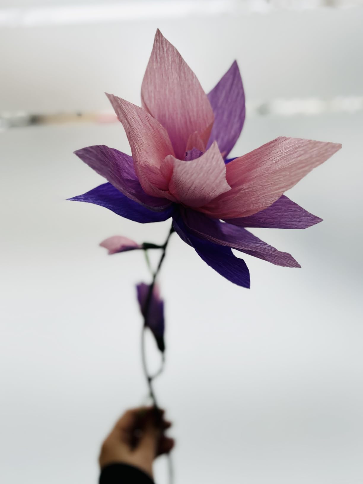 Krepppapier Hellgelb 50x230cm - 2 Rollen Floristenkrepp Für Basteln