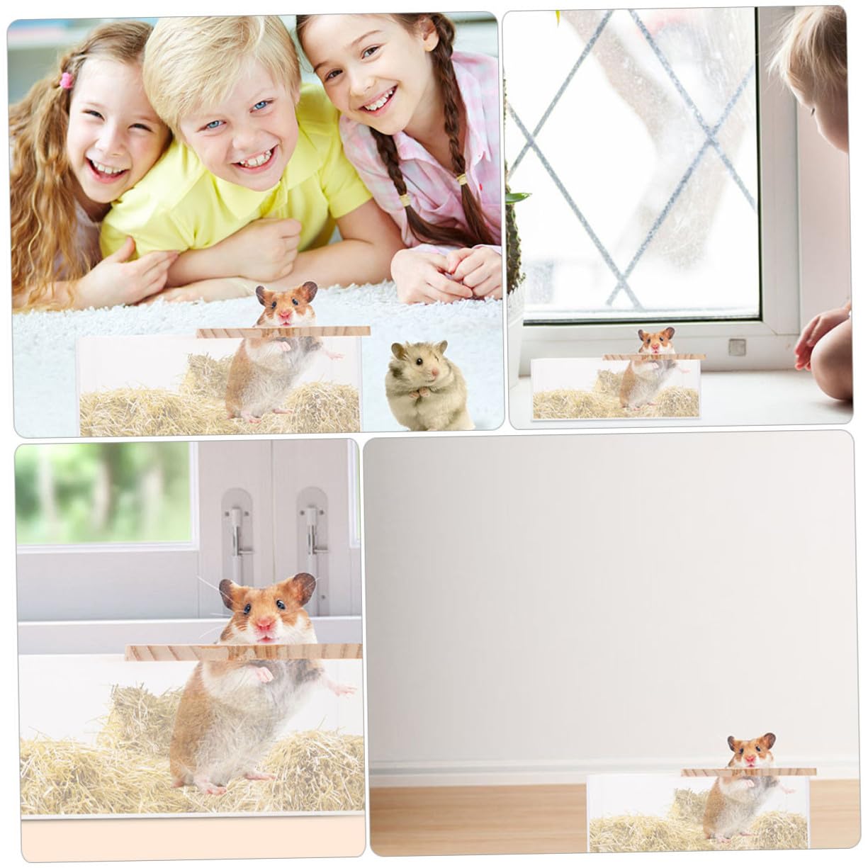 KOMBIUDA Badebehälter Transparent für Hamster und Meerschweinchen 2 Stück Acryl Verschleißfest und Sicher zum Spielen und Baden für Zuhause und Tiergeschäft