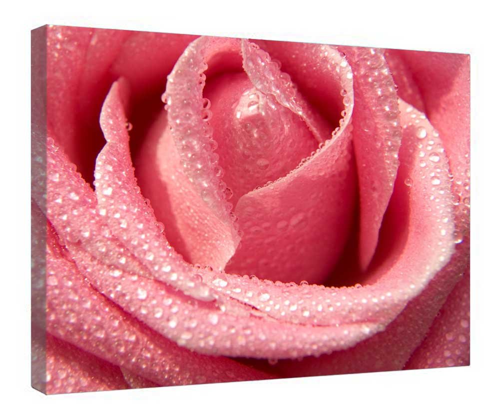 Toile murale rose brume prête à suspendre pour masquer un mur vide