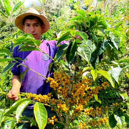 Antsti Fuel Peru San Ignacio Café en Grano Tostado Medio 453 g miniatura 4