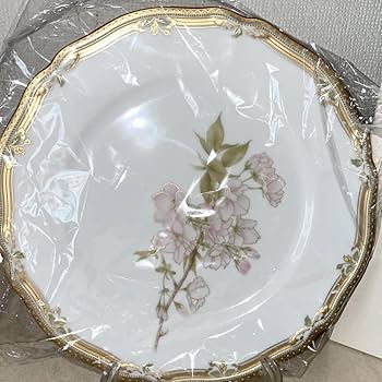 Amazon.co.jp: ノリタケ ガラコンテッサ パーティーセット 6枚