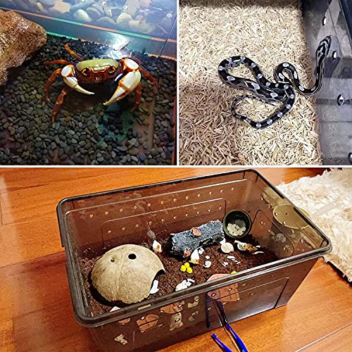 Kathson Reptile Feeding Box Portable Small Snake Terrarium Habitat Mini Pet Breeding Cage Hatching Container Transparent Lizard Houses For Tarantula Spider Scorpion Gecko Frog 2Pcs (Black) #TOP6