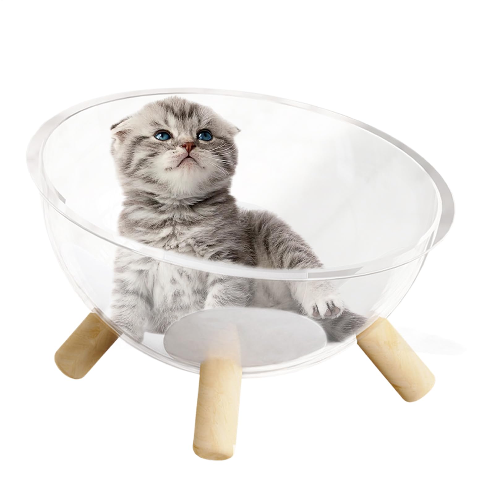 Schlafnest für Katzen mit Holzsockel – Korb für Katzen | Aktivitätshaus aus transparentem Acryl für Kaninchen | transparente Kuppel, Zubehör für Kleintiere, Raum, Aktivität, Erholung, Spiel