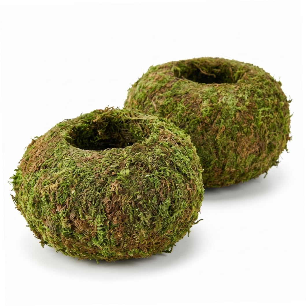PithCogent Moss Planter, 2pcs Moss Ball Planter, Japanese Style Covered Flower Pots For Mini Plants, Outer Dia 4.33'' Inner Dia 2.36