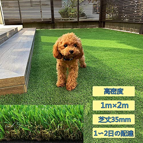 lH lHŐ lŐ lŁylH1m×2m ŏ 3.5cmz A lHŃ[ x2.6{ _ȑlH HŃ}bg O lH [ lH ŐlH Ő ϋv h r Gh~ ӂӂȎƖ{̂悤ȐGSn (