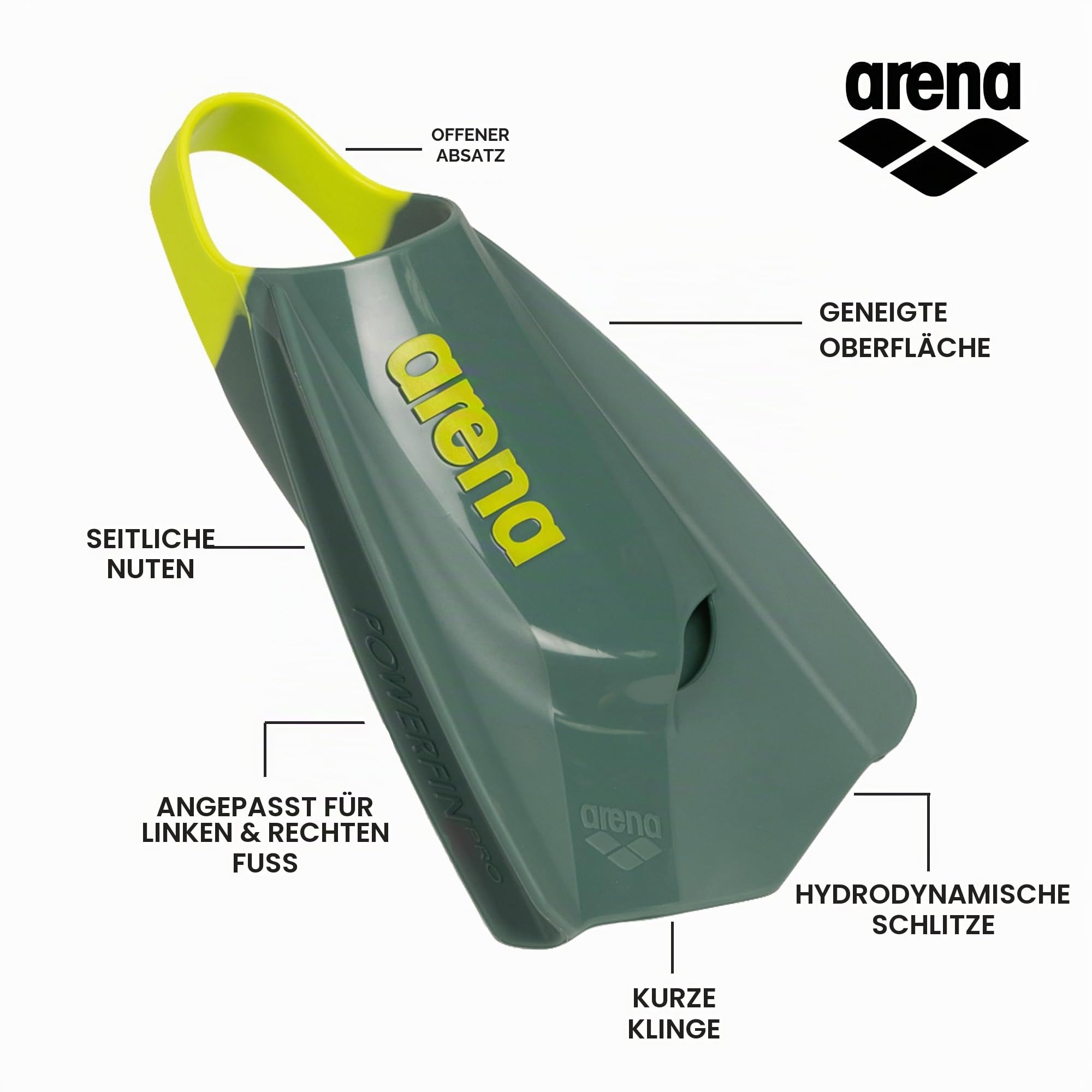 Arena